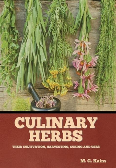 culinary herbs their cultivation harvesting curing and uses PDF
