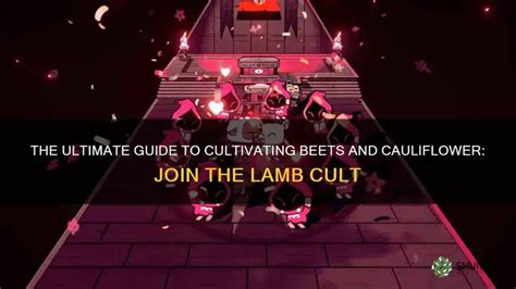 cult of the lamb beets