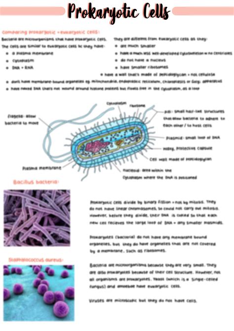 cultivating bacteria on peas biology ocr coursework Doc