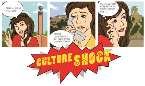 culture shock stress international students PDF