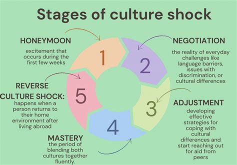 culture shock stress international students PDF