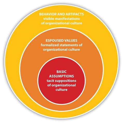 cultures in organizations three perspectives Reader