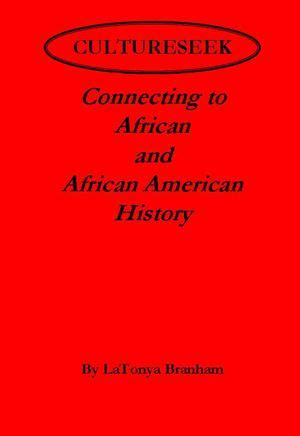 cultureseek connecting to african and african american history PDF