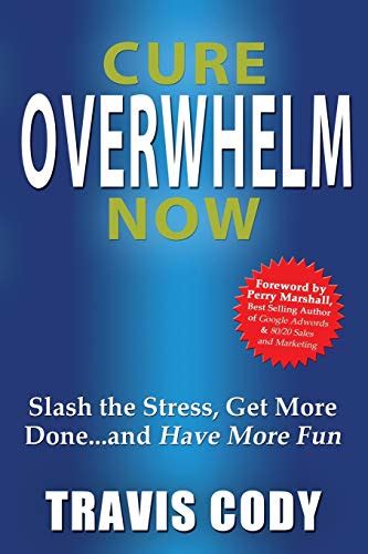cure overwhelm now slash the stress get more done and have more fun Epub