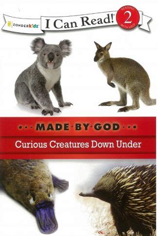 curious creatures down under i can read or made by god Kindle Editon