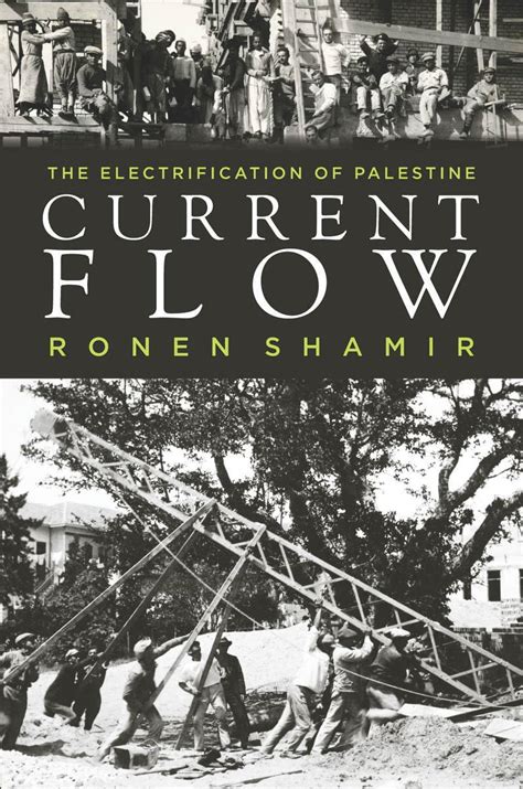 current flow the electrification of palestine Epub