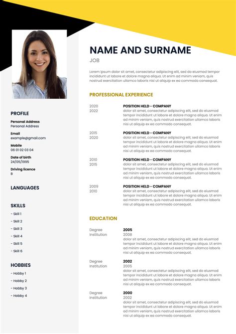 curriculum vitae layout pdf PDF