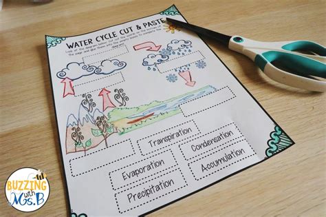 cut and paste water cycle Kindle Editon