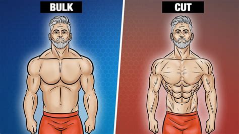 cut vs bulk