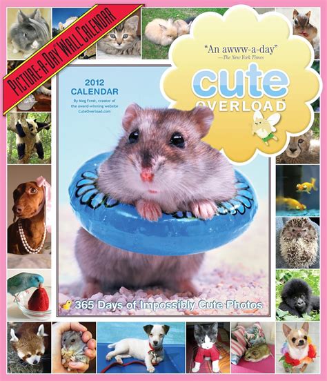 cute overload 2012 wall calendar 365 days of impossibly cute photos Doc