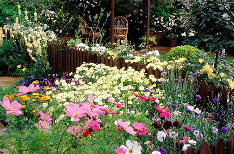 cutting garden growing and arranging garden flowers PDF