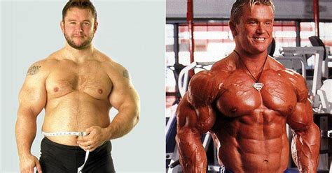 cutting vs bulking