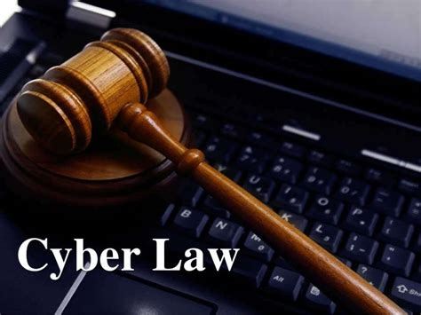 cyber law a legal arsenal for online business Reader