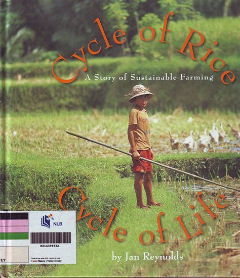 cycle of rice cycle of life a story of sustainable farming Reader