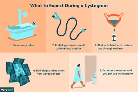 cystogram cpt code 2014 Doc