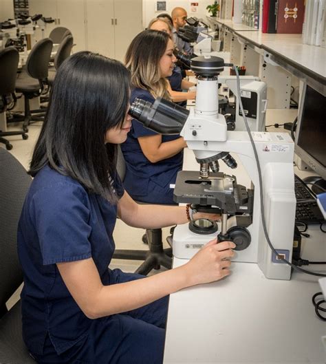 cytotechnology programs in florida