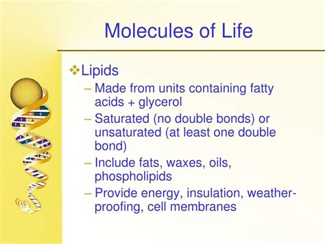 d0wnl0ad molecules of life physical and Epub