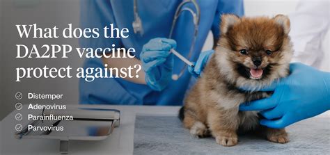 da2p vaccine for dogs