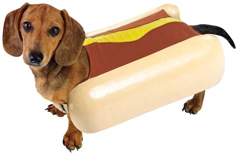 dachshund hot dog costume