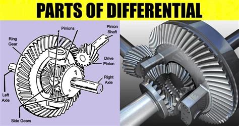 daewoo tico differential parts and components assembly layout Doc