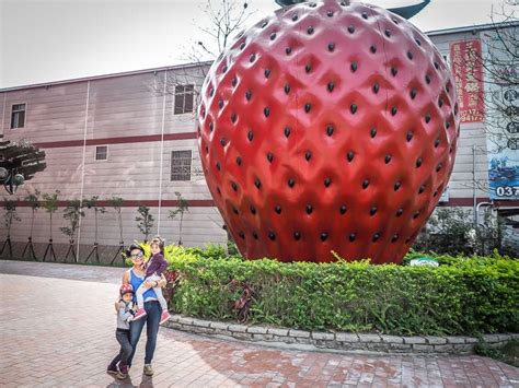 dahu strawberry farm