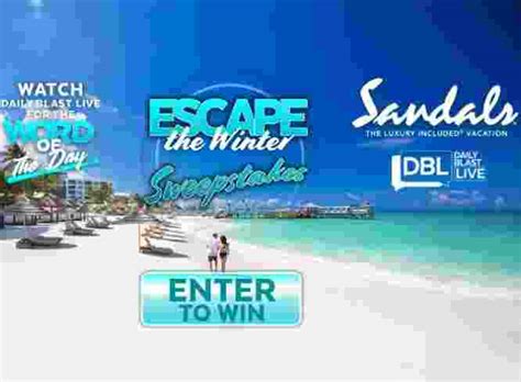 daily blast live sandals