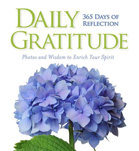 daily gratitude 365 days of reflection Reader