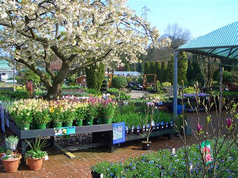 daisy nook garden centre in ashton craft fair PDF