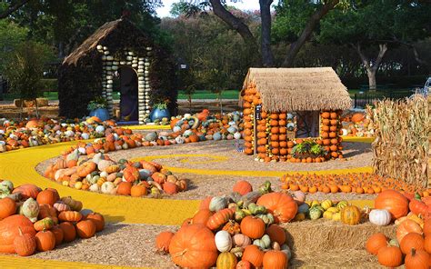 dallas arboretum pumpkin patch