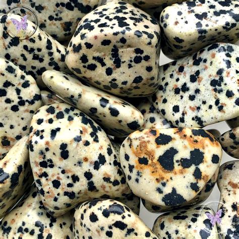 dalmation stone