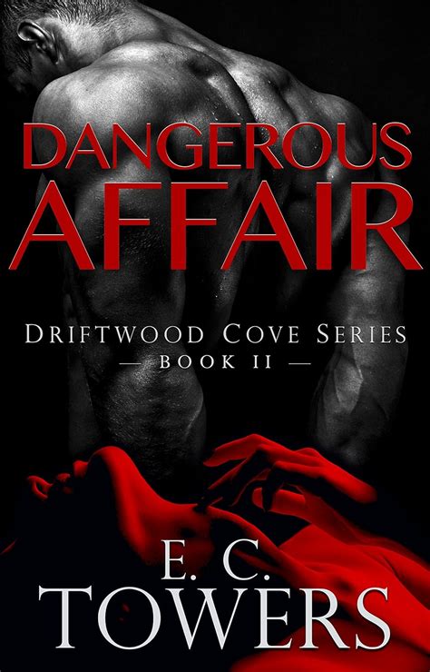 dangerous affair driftwood cove book 2 PDF