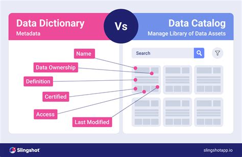 Data Catalog And Data Dictionary