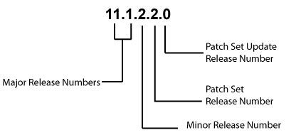 data release number meaning