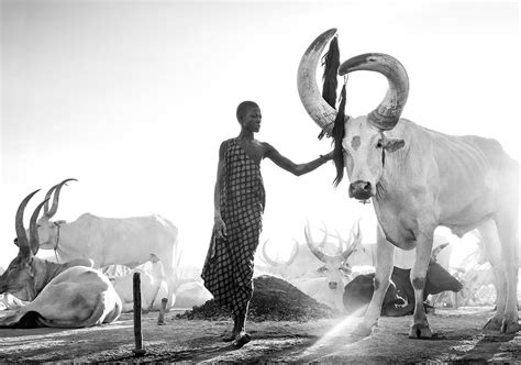 David Ballam Catalogue