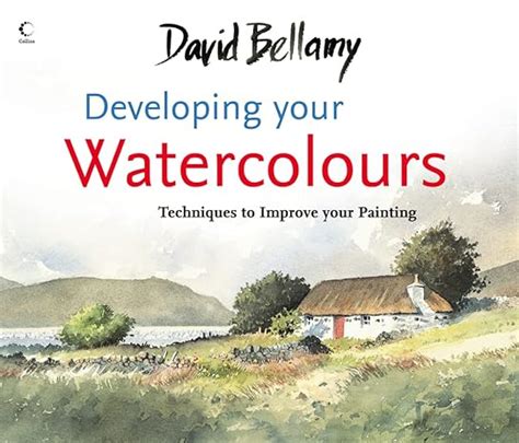 david bellamys developing your watercolours techniques to impr PDF