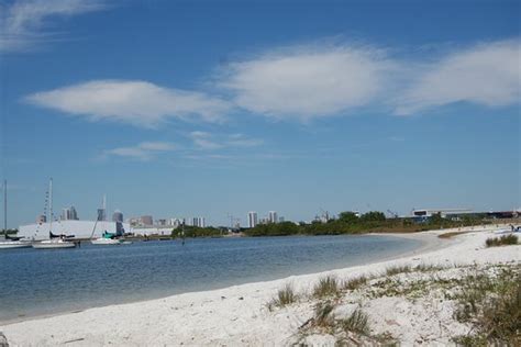 davis island beach tampa fl