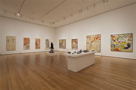 de kooning a retrospective Reader