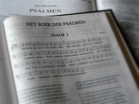 de liederen van opgang ii de psalmen 120134 Kindle Editon