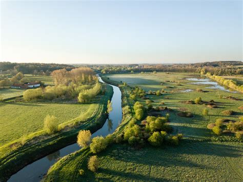 de natuur in onze stad een biotopengids met 120 kleurenfotos Doc