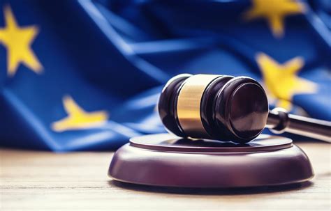de rechtsbescherming van nationale overheden in het europees recht Epub