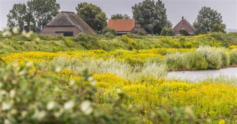 de wonderen van de plantenwereld Kindle Editon