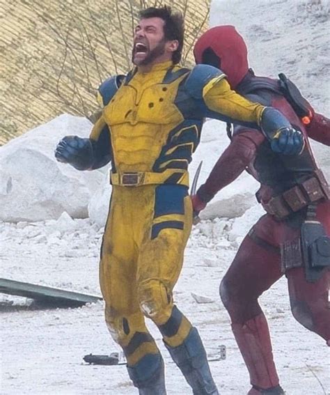 deadpool and wolverine costumes