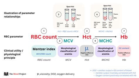 decreased rbc hgb hct