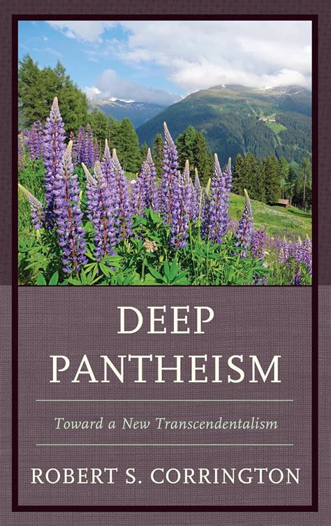 deep pantheism toward new transcendentalism PDF
