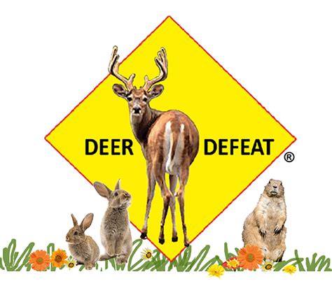 deer defeat