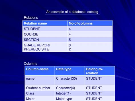 Define The Database Catalog Relations Columns Different Views