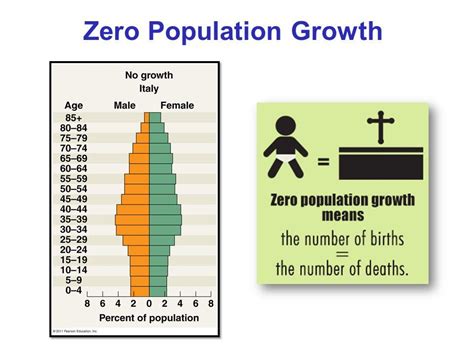 define zero population growth
