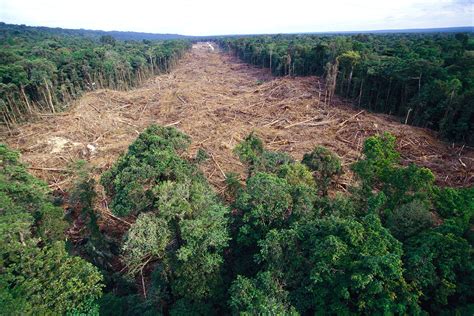 deforestation in ghana deforestation in ghana PDF
