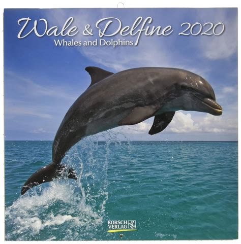 delfine 2016 tierkalender brosch renakalender meeresbewohner PDF