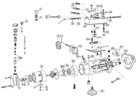 delphi injection pump service manual chm Epub